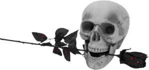 Twinky_DarkCravings_SkullwithRose